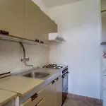 Anci * מאלי לוסיניי