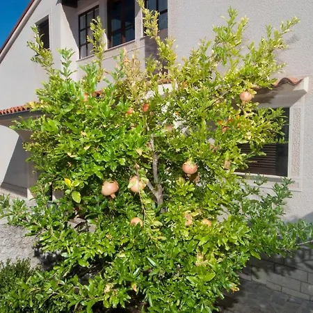 Apartament Anci Mali Lošinj