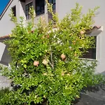 Apartment Anci Mali Lošinj