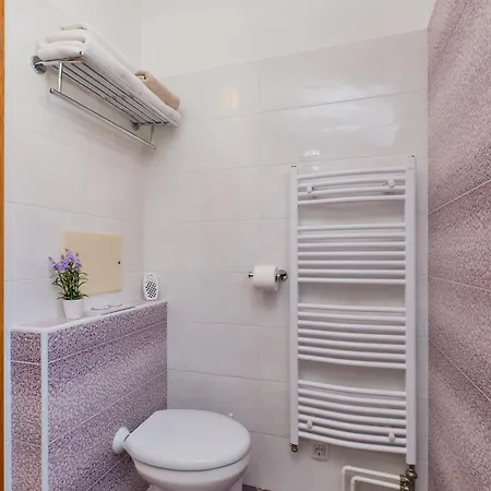 Apartment Anci *