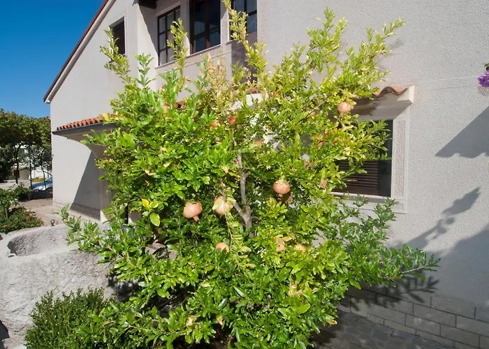 Апартаменты Anci Мали-Лошинь